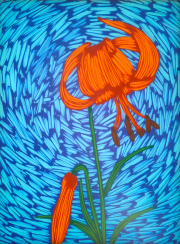 Day Lily 16 x 12