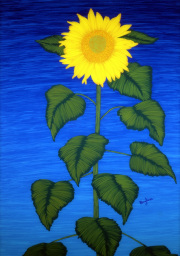 Sunflower SOLD